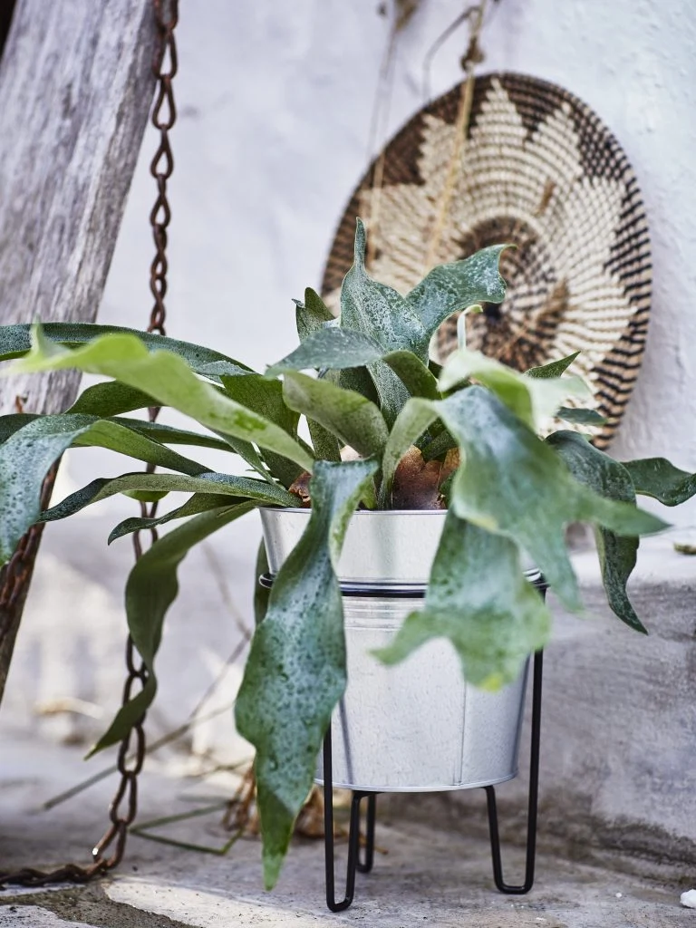 Ikea's summer collection 