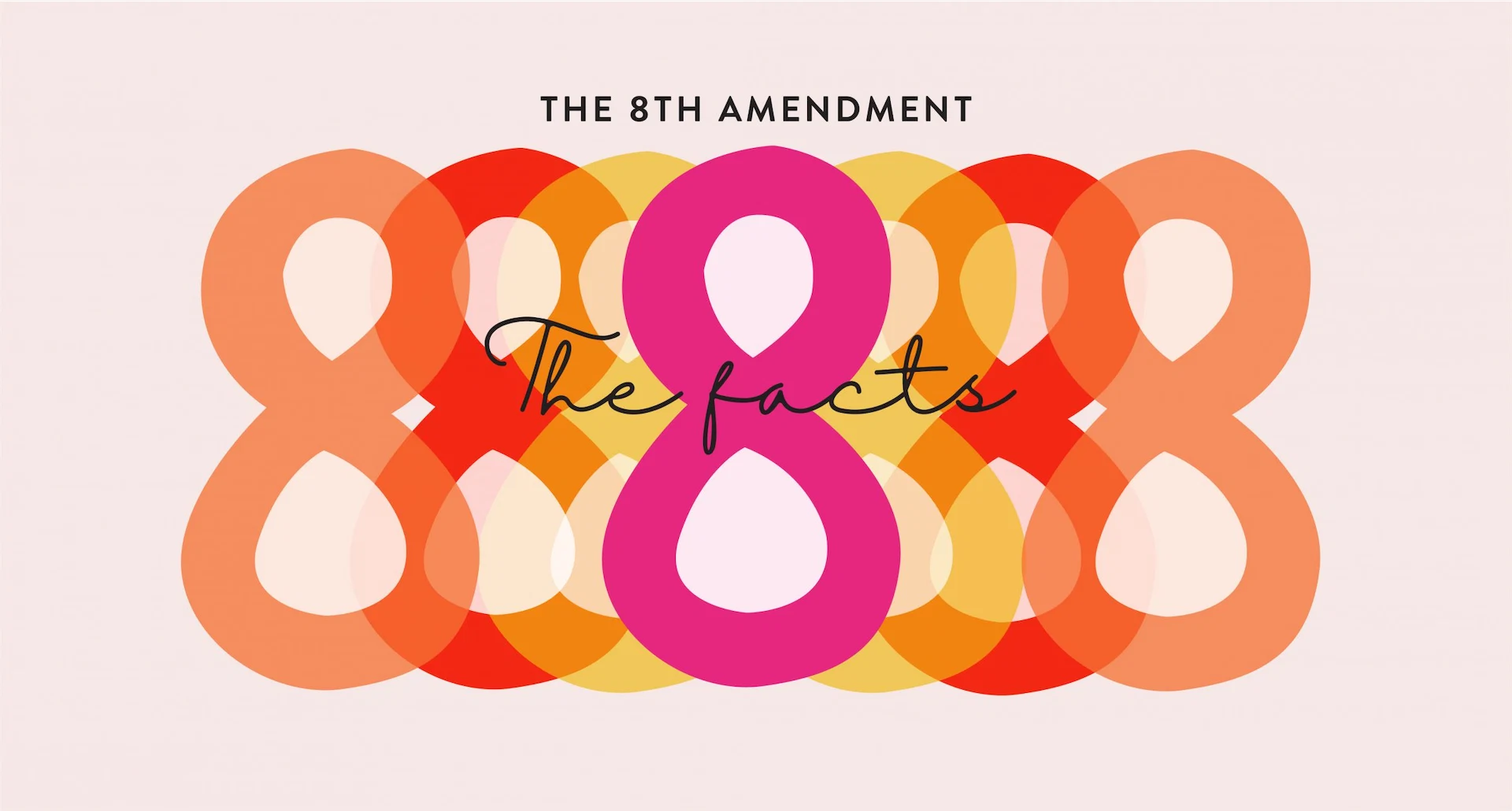 The Eighth Amendment: Everything you need to know before you vote