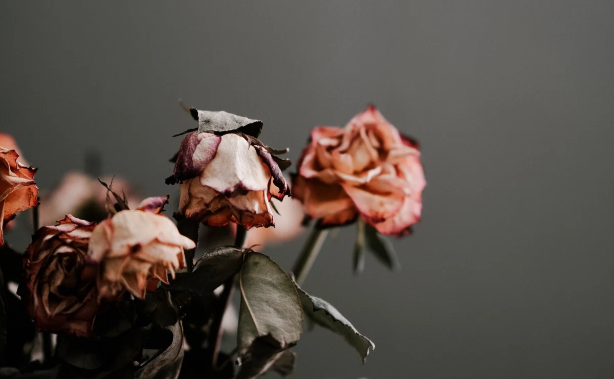 Sentenced to death by cancer: we made promises this would never happen again