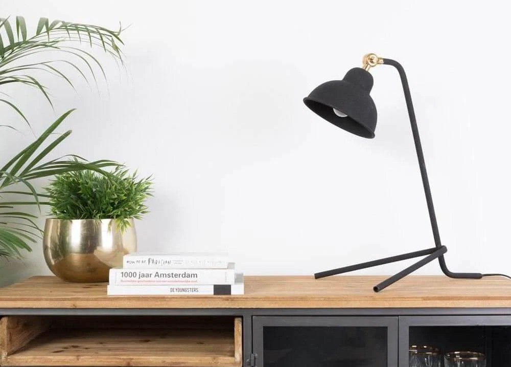 Houseology collection