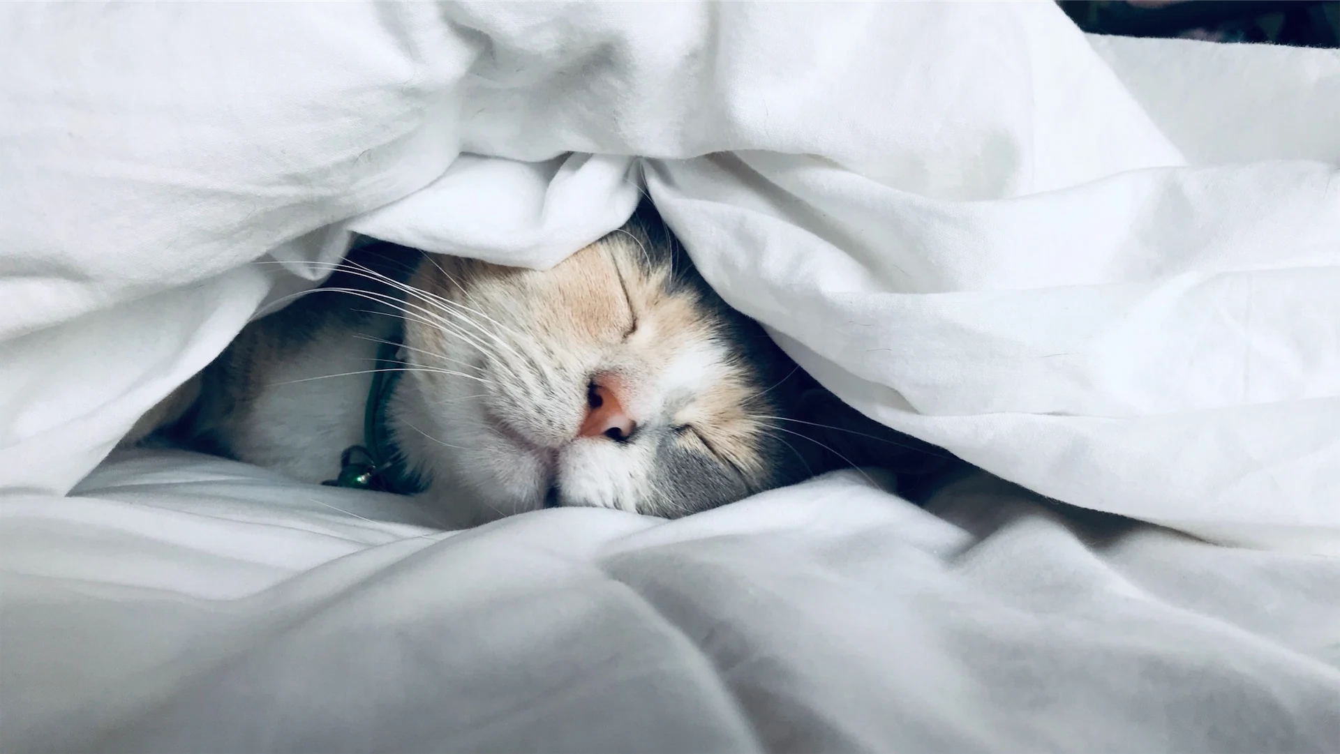Are naps a good or bad thing? We debate midday slumbers Are naps a good or bad thing? We debate midday slumbers