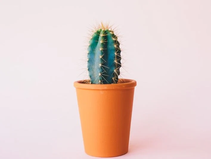 Derma-rolling: what it is, how it works and should you use it Derma-rolling: what it is, how it works and should you use it