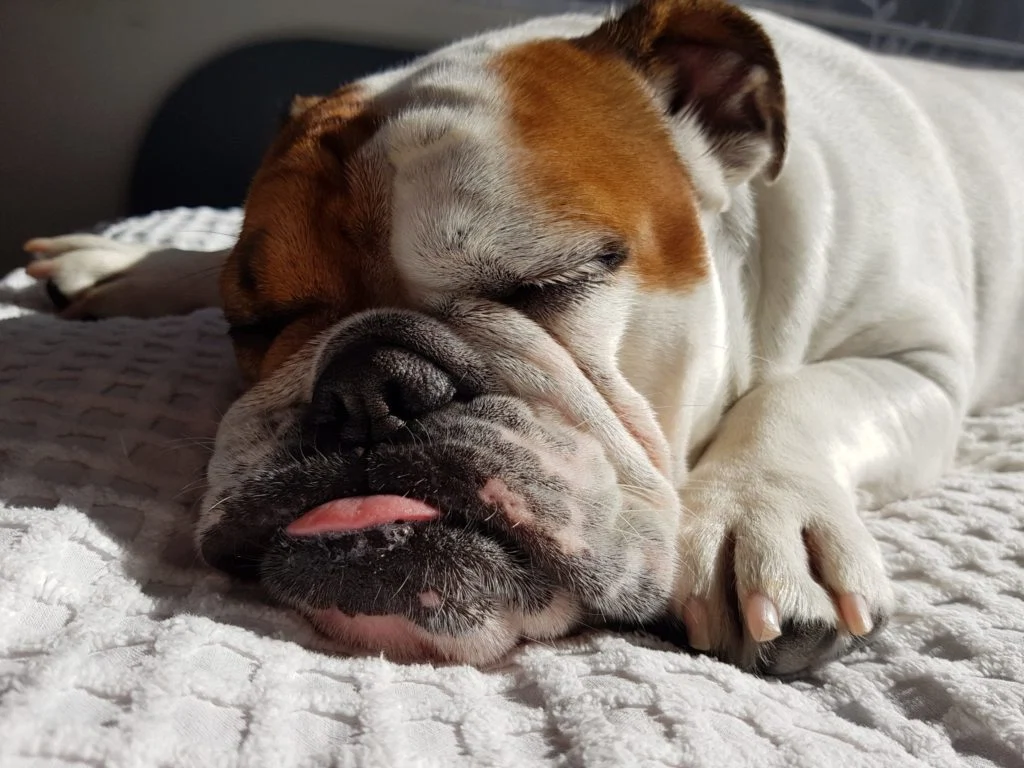 naps