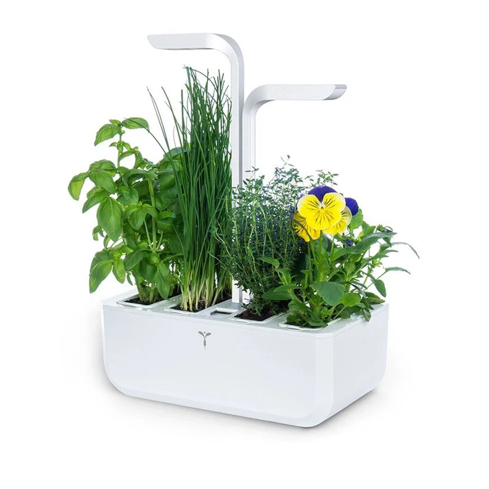 SODA at Brown Thomas