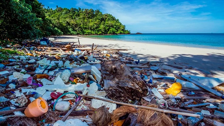 Why you should be eco-conscious on your holiday to Asia