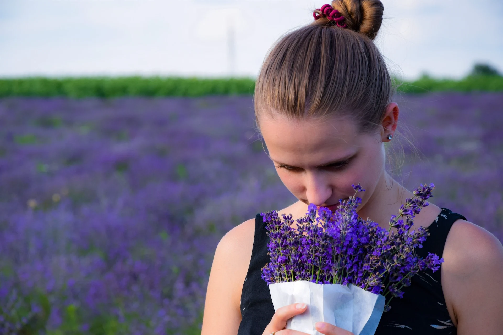 Wicklow’s lavender harvest sale is open to the public for a limited time only Wicklow’s lavender harvest sale is open to the public for a limited time only