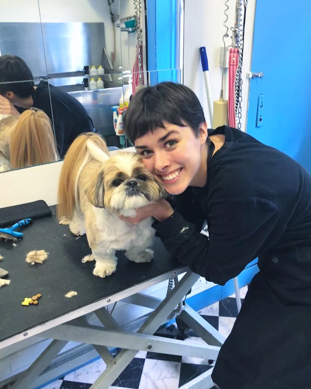 A beginner’s guide to: Dog grooming in Dublin city