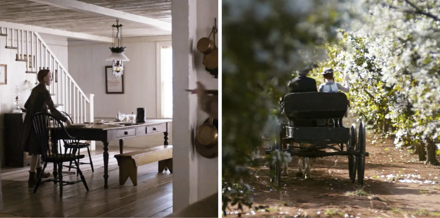 anne with an e interiors