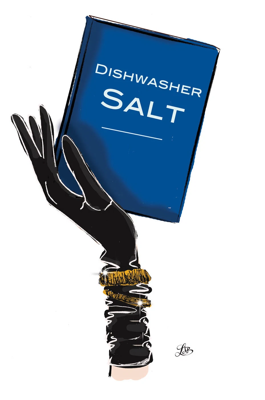 laura de barra illustration salts