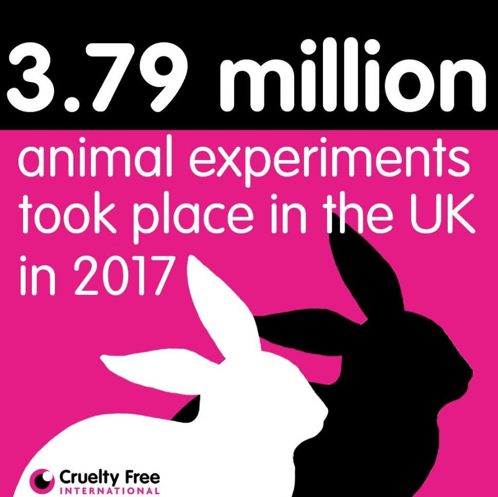 Photo: @CrueltyFreeIntl on Twitter