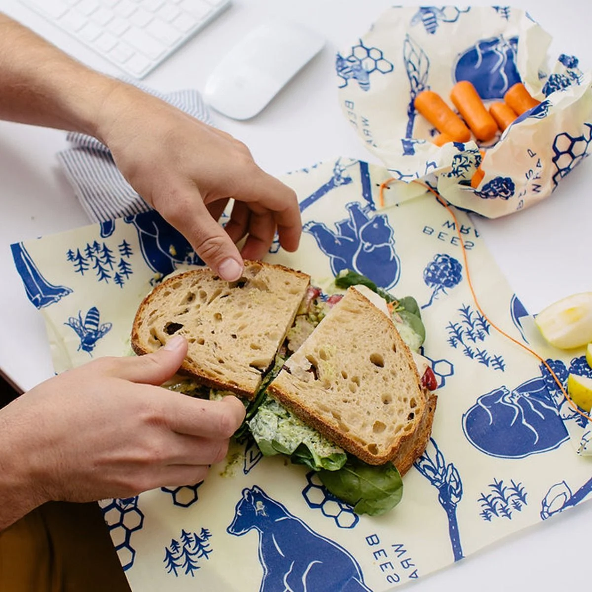 Five eco-friendly kitchen essentials to sustain both the planet and your health Five eco-friendly kitchen essentials to sustain both the planet and your health