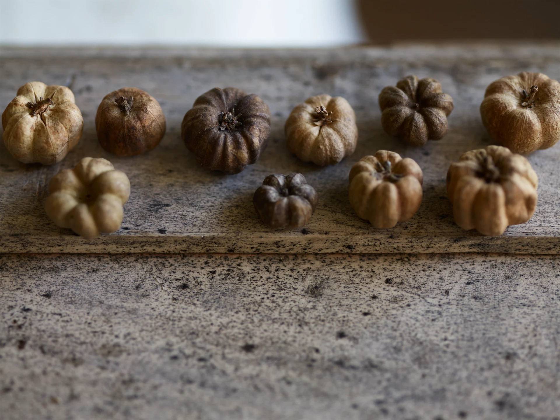 Halloween decorations don’t have to be ghastly – here are our design-friendly ideas