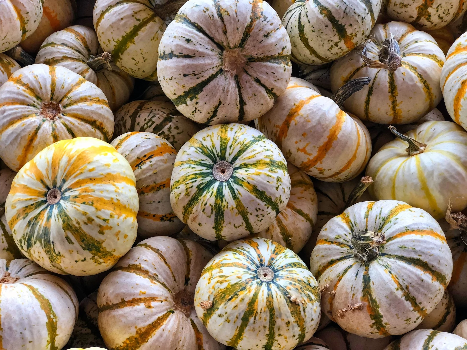 design-friendly ideas Halloween