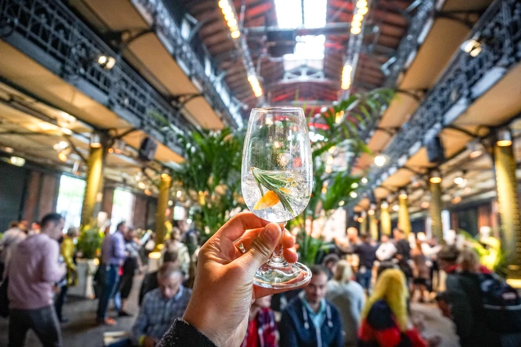 7 Irish gins that should be on your radar for International Gin & Tonic Day