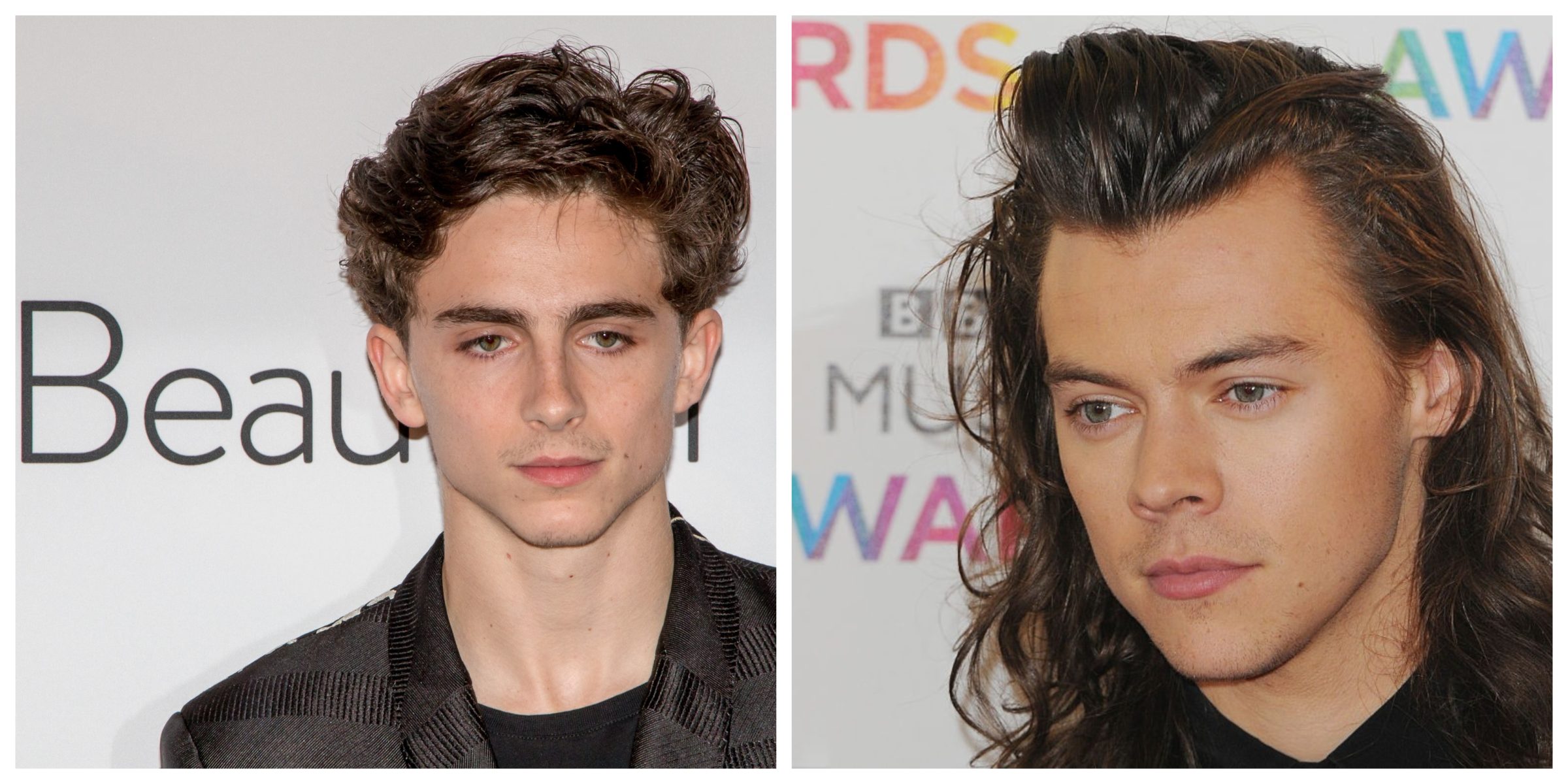 Why the Timothée Chalamet and Harry Styles interview is so important