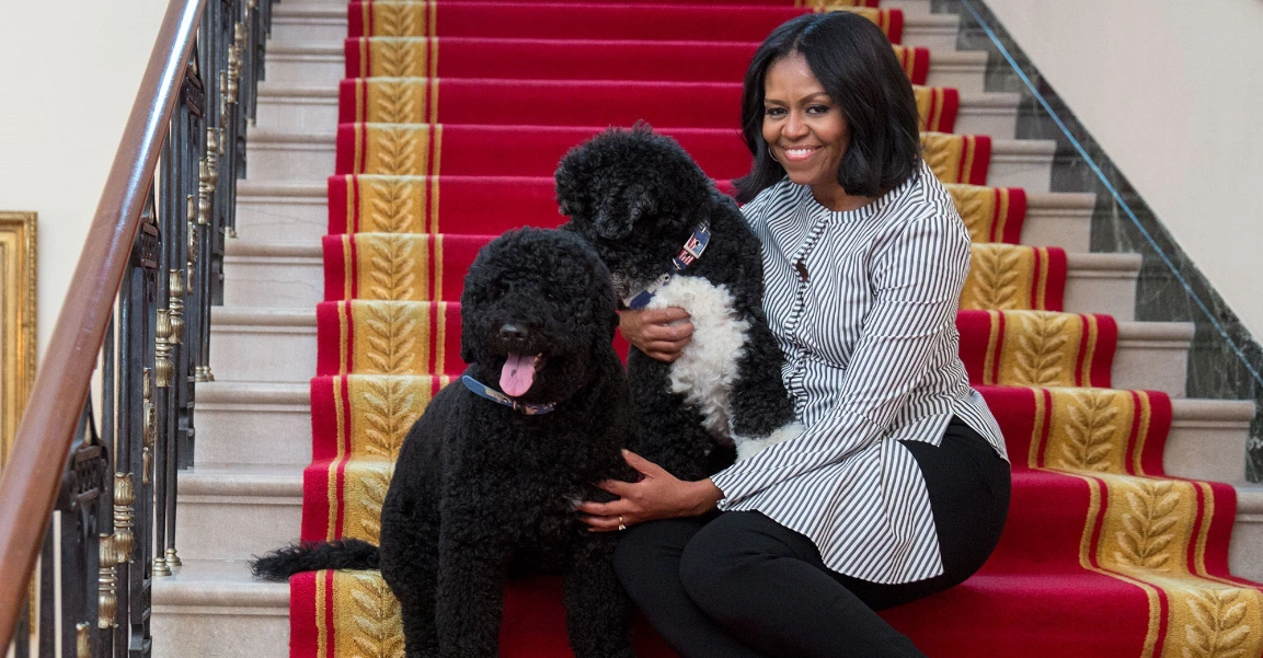 Michelle Obama shares powerful advice to parents during speech in London