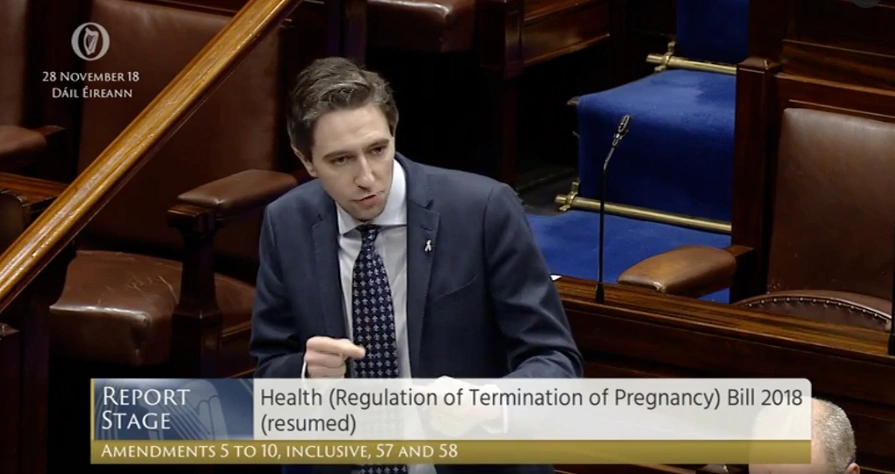 The Dáil passes landmark Bill to allow abortion services in Ireland