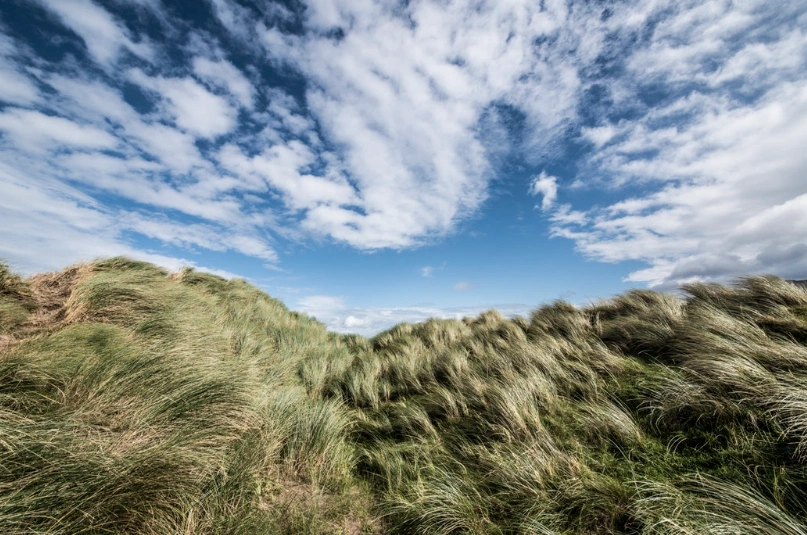 Tragic Baby Belle and the saddest secret of all Tragic Baby Belle and the saddest secret of all