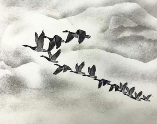 ‘Words that have saved lives’ The wild and precious life of Mary Oliver