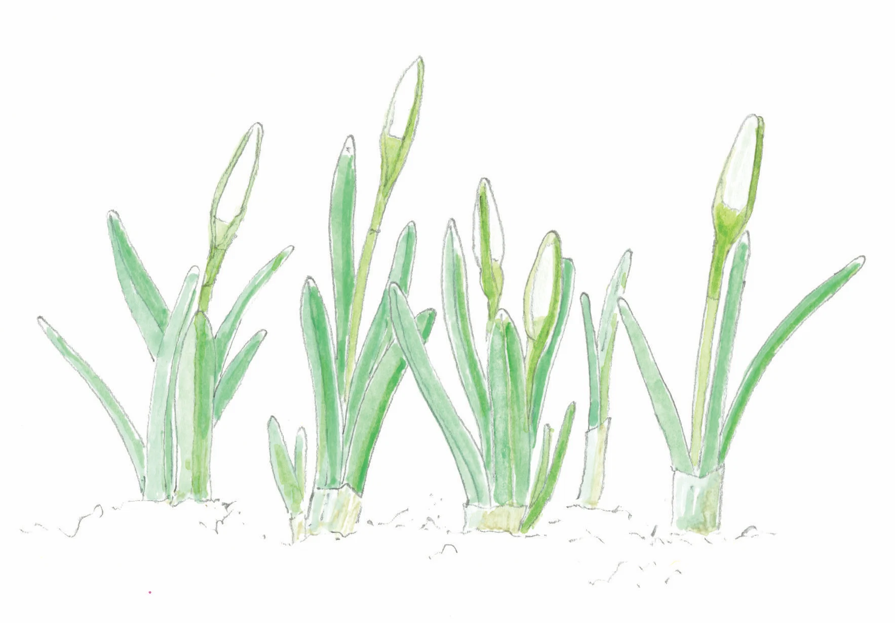 January having you feel a little low? A walk in nature might help