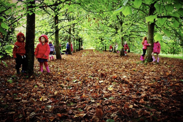 Logs, leaves and life-skills: Why forest schools are on the rise