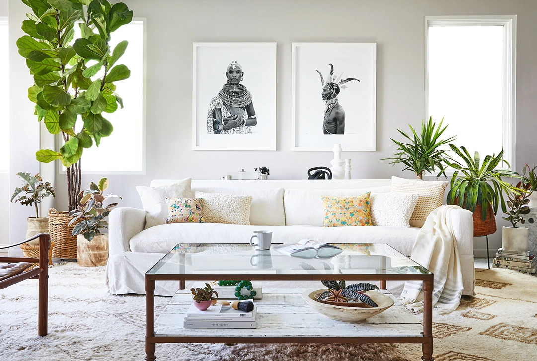 Houseplant SOS: What your potted pals are trying to tell you