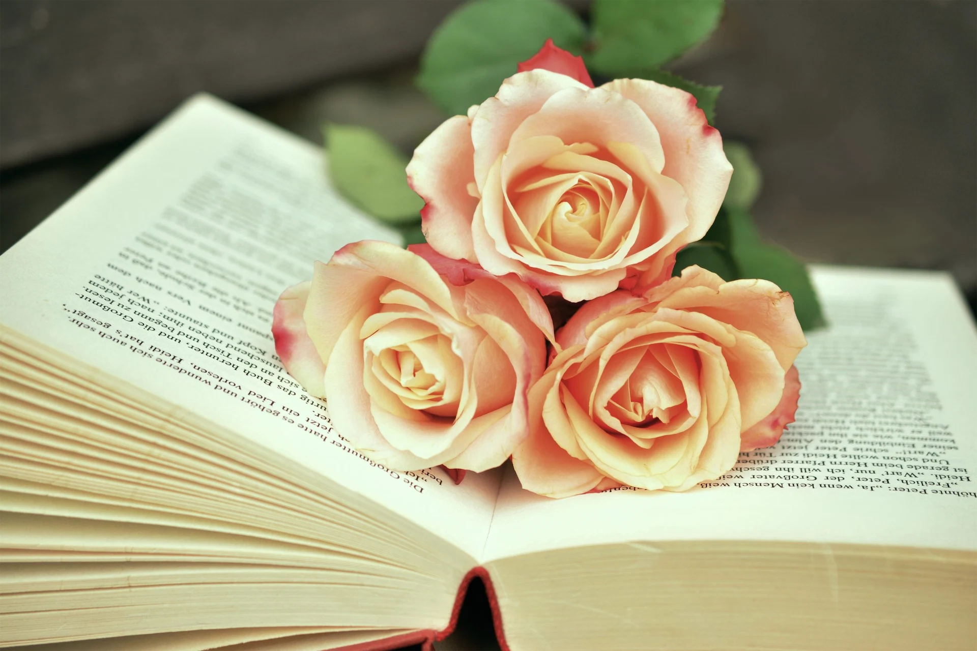 Six books worth reading on or after Valentine’s Day (hot date or not)
