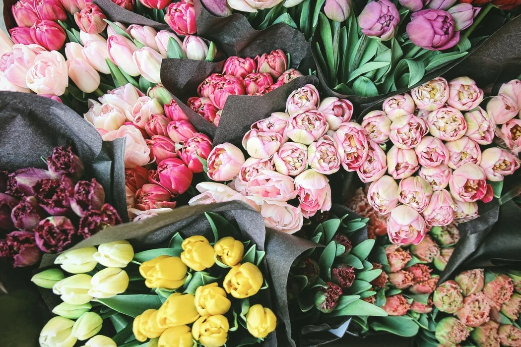 Beautiful music and beautiful words: your guide to a very loved-up weekend