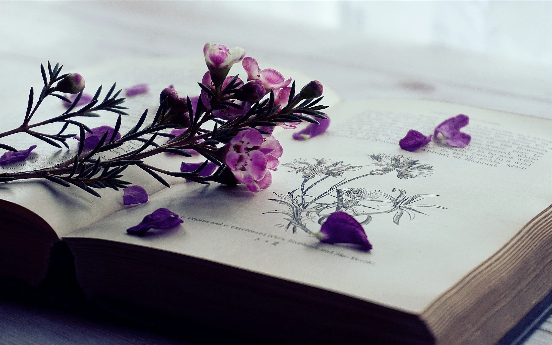 #IMAGEReads: Five engrossing and brilliant books out this March