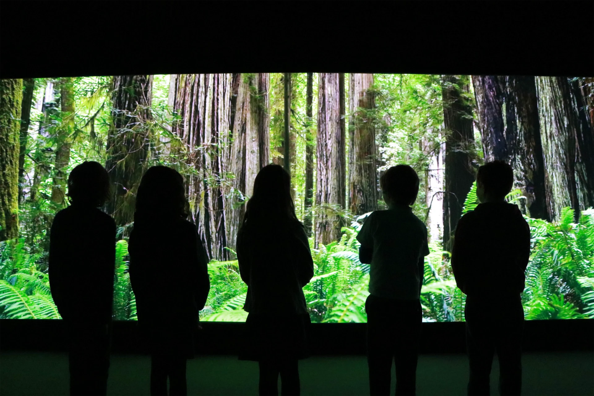 ‘Eye-opening and empowering’: this climate change experience at Powerscourt is a must