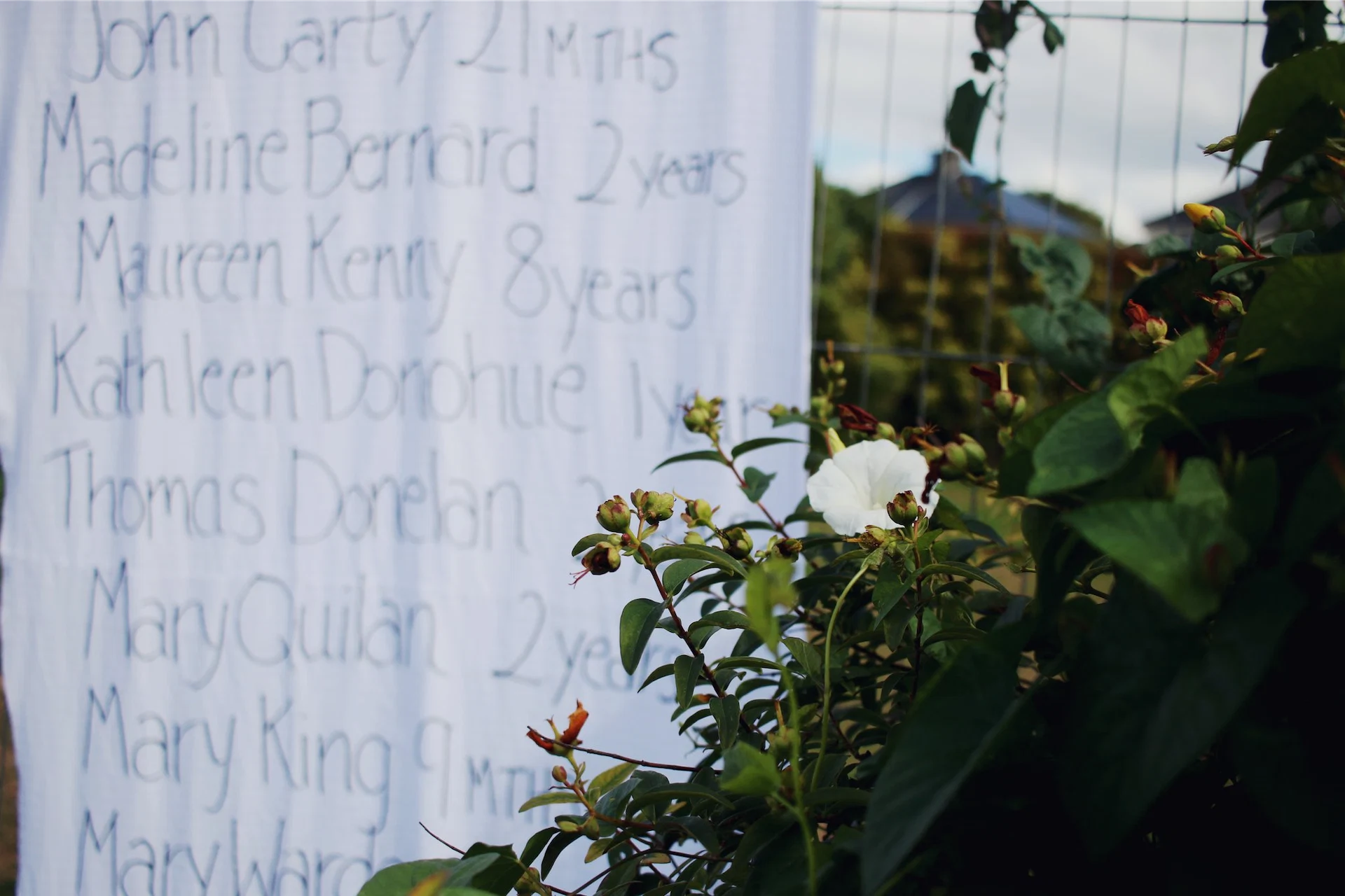 ‘Facts do not excuse the indignity in which these babies were treated in death’