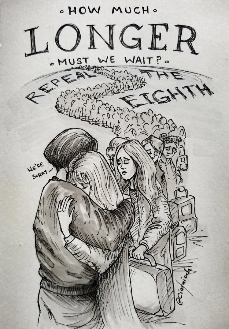 Cartoon activists: Meet some of Ireland’s best