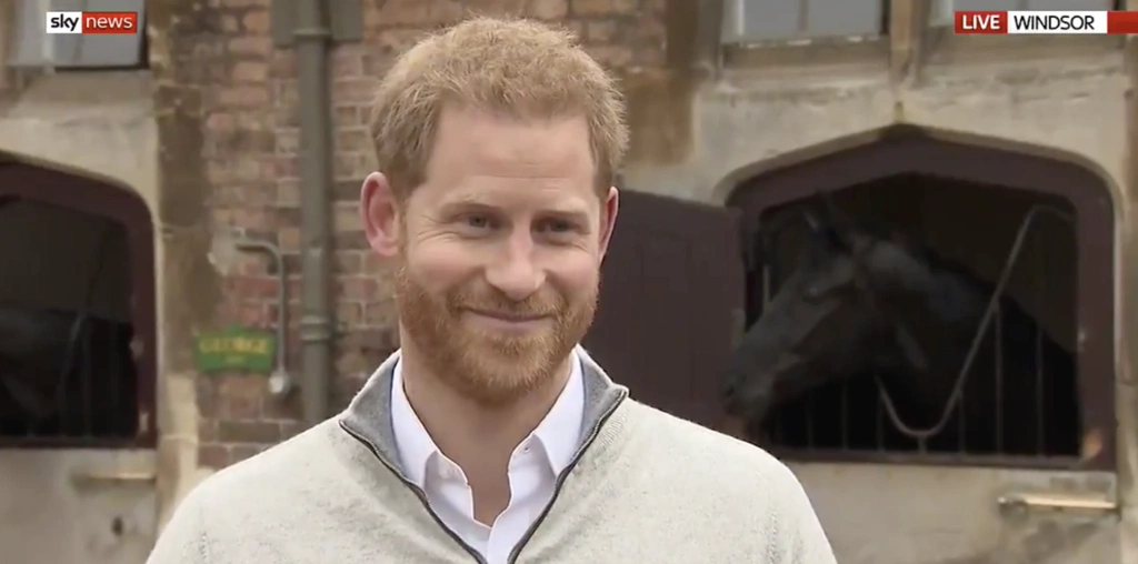 Prince Harry via Sky News