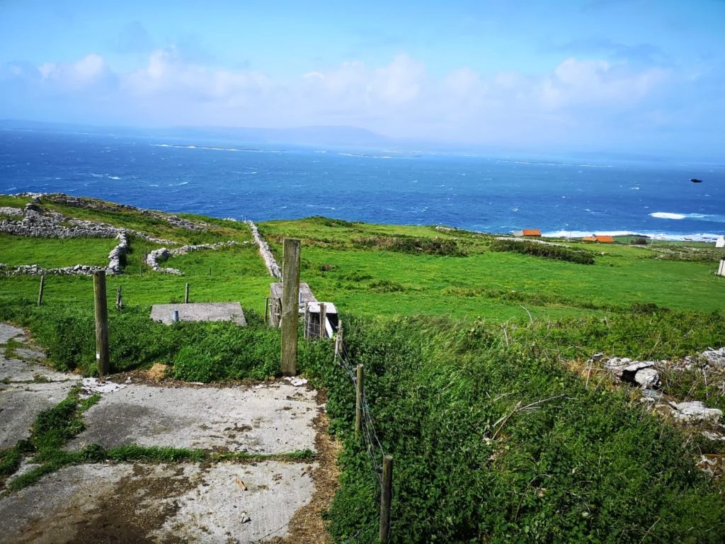 Cape Clear views