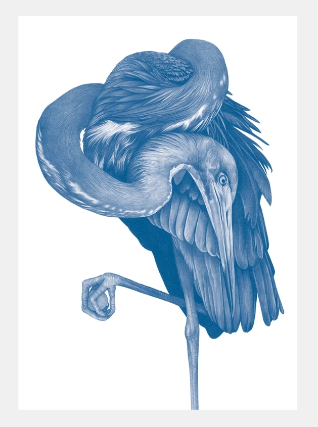 prints from Irish illustrators