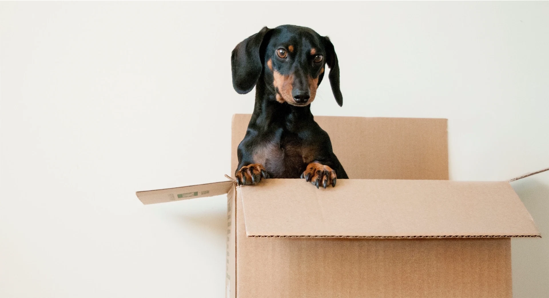 Life of a millennial: I just moved back home with my parents