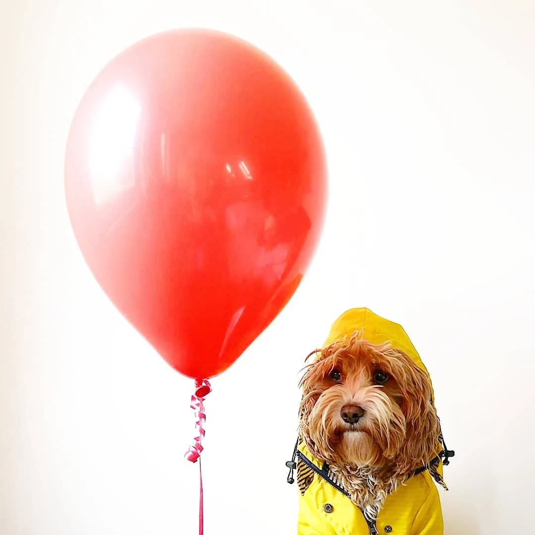  Georgie from It - @rupert_the_bear_and_friends