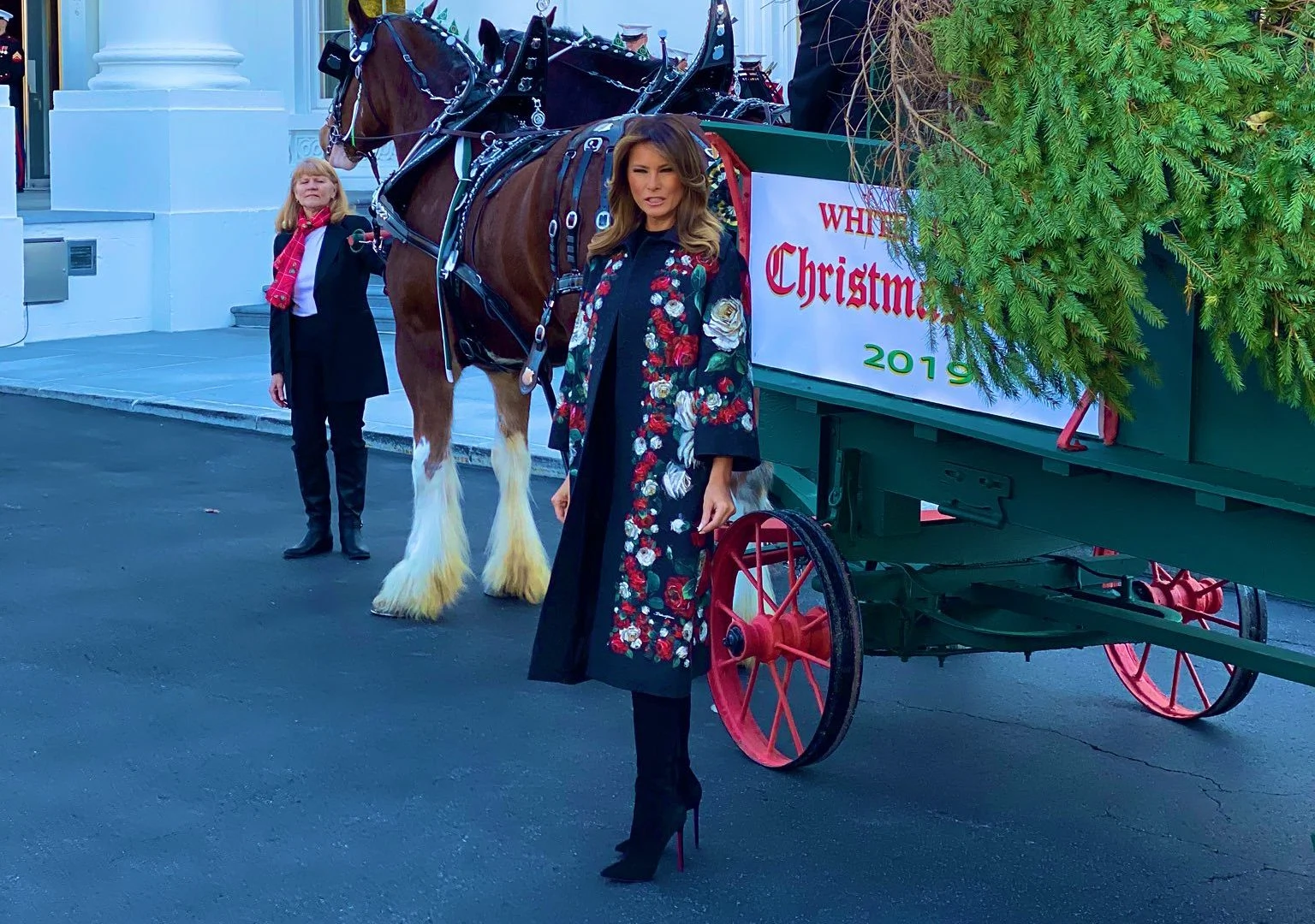 Melania Trump welcomes the official White House Christmas tree