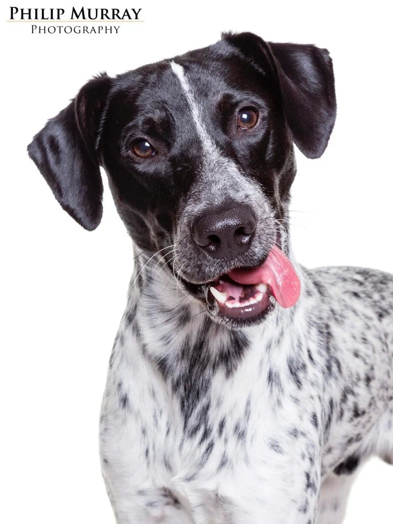 Zero via Philip Murray Photography