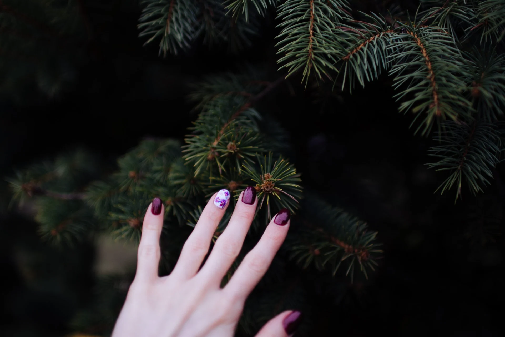 Winter nail ideas to upgrade your hand game this party season