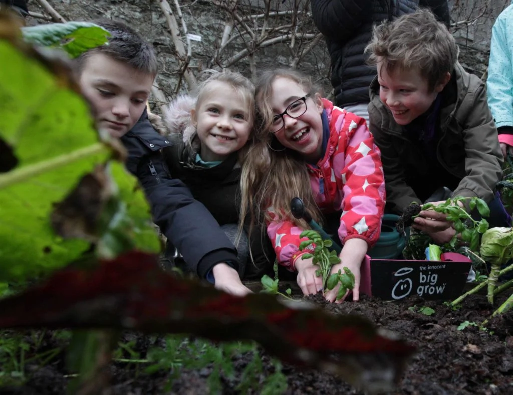 growing vegetables with kids