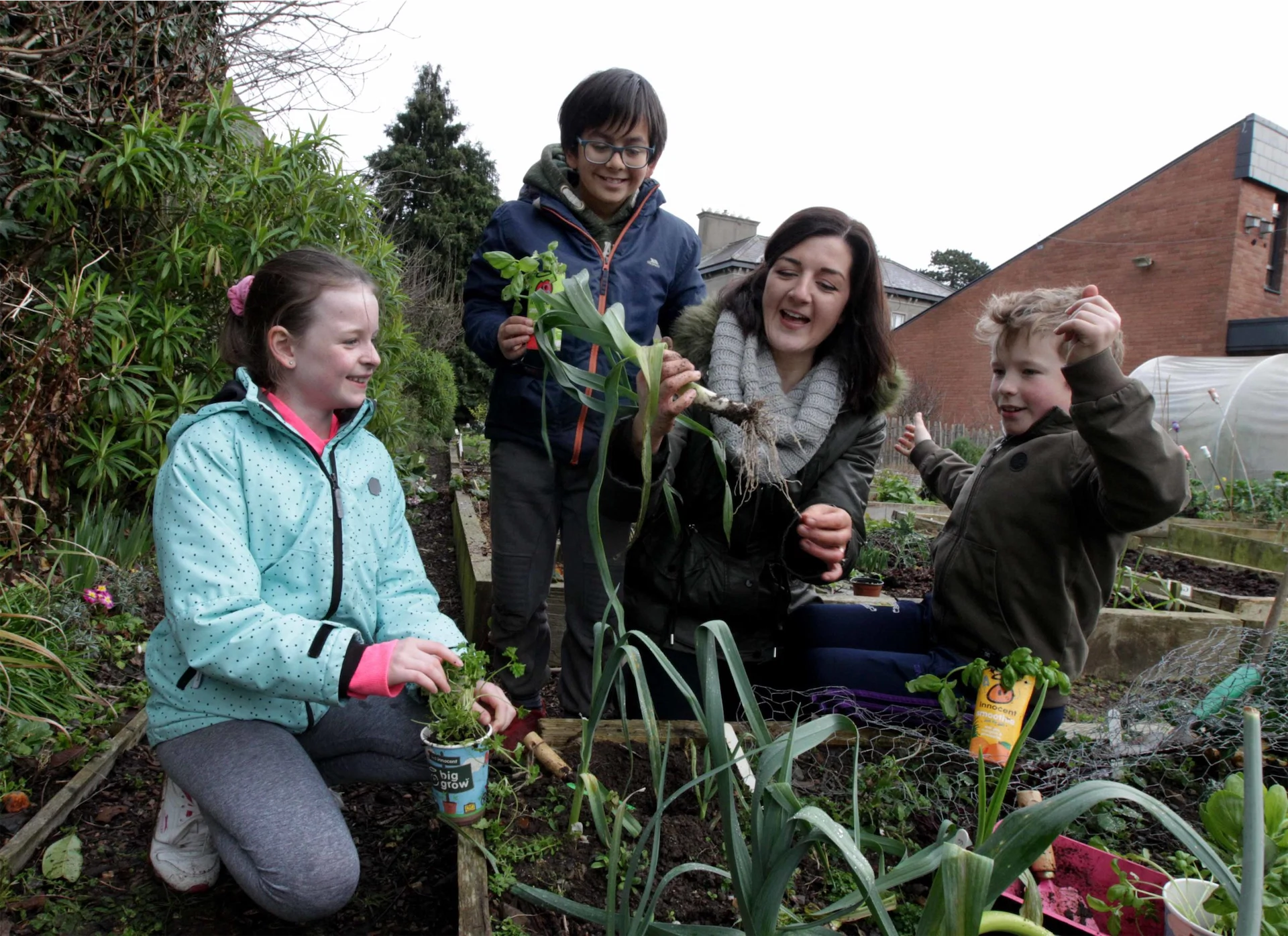 Lilly Higgins: ‘The best thing for picky eaters is for them to start growing stuff themselves’