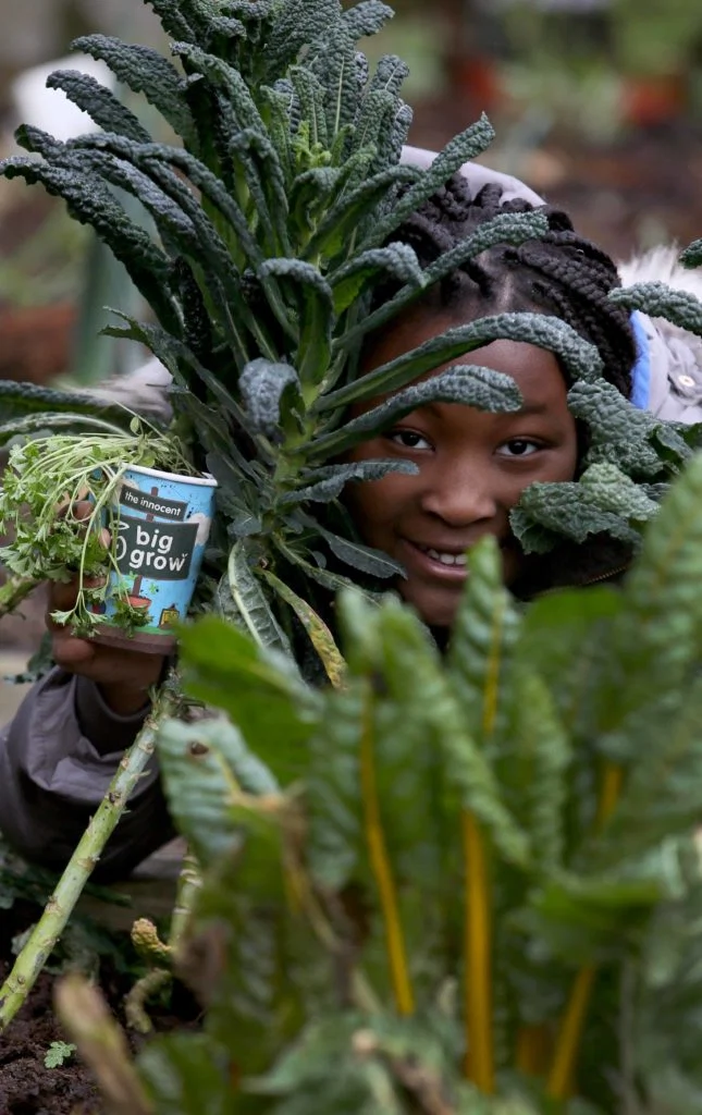 growing vegetables with kids