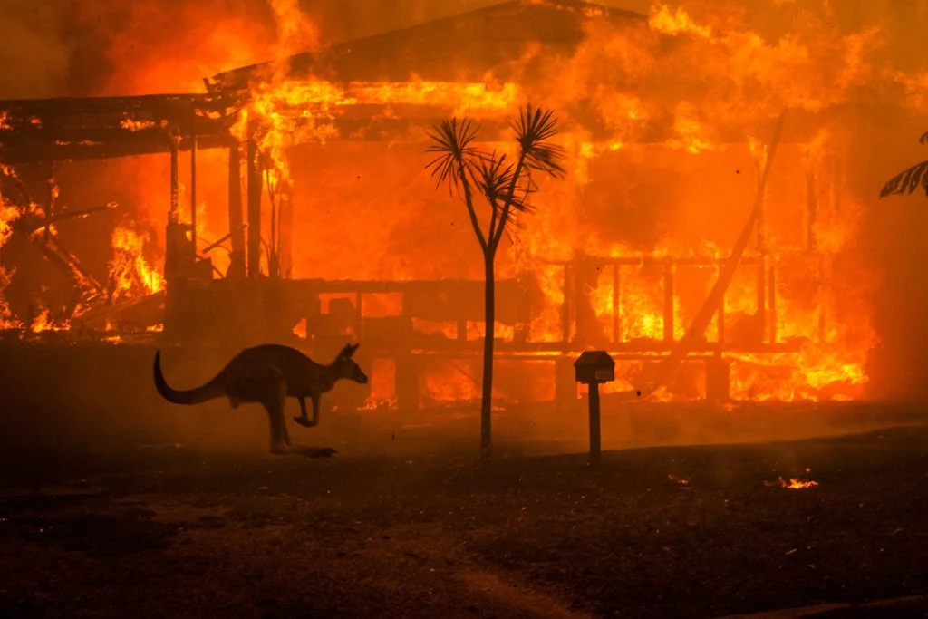 Australian wildfires – Photo by Matthew Abbott 