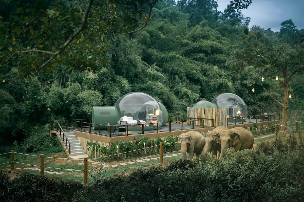 Stargazing: 5 of the best bubble dome hotels to stay in across the world