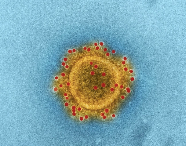 Coronavirus: It is time to do our civic duty