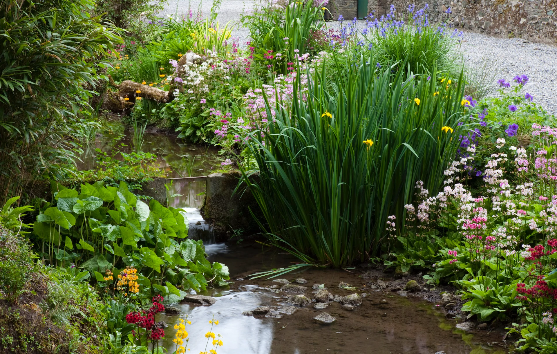 How to build a wildlife pond in your back garden (and why you should)