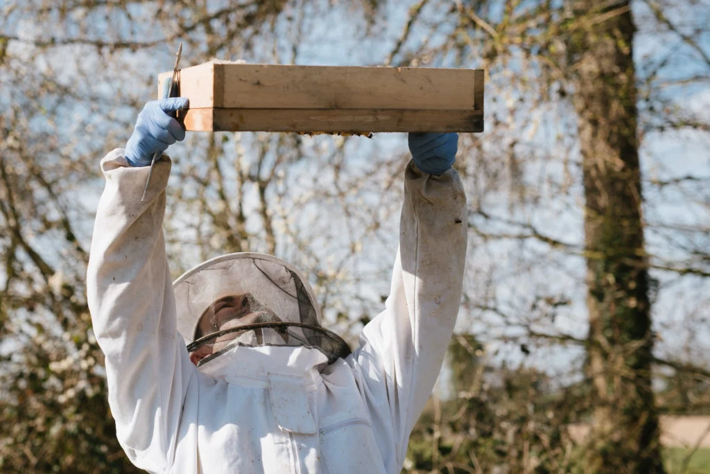 Millbee Ruth Connolly honey bee