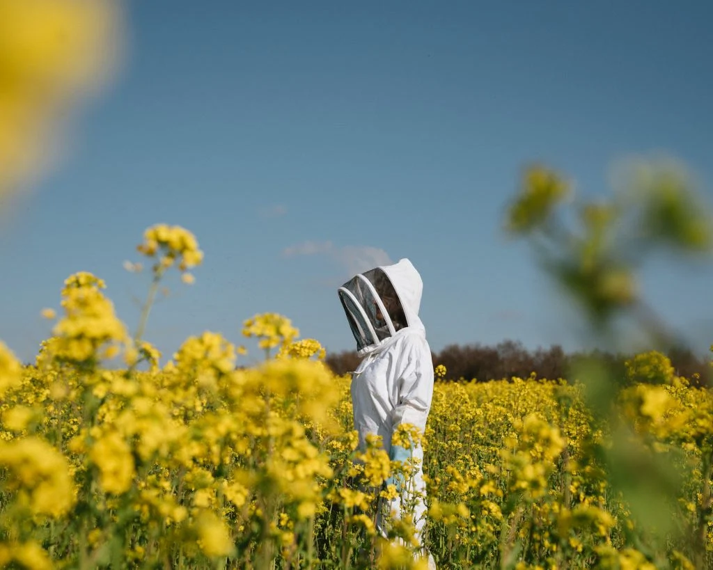 ‘Just like bees working together to keep a colony alive, we too need to think as a community’