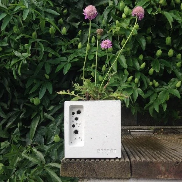 garden buys under €50